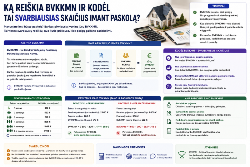 Ką reiškia BVKKMN ir kodėl tai svarbiausias skaičius imant paskolą?